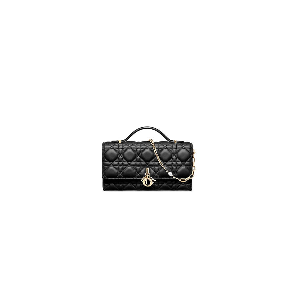 Dior Mini Bag